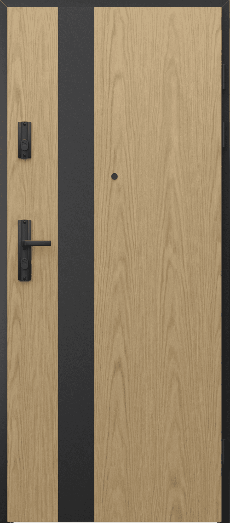 EXTREME RC3, EI60 крило (синтетичен фурнир) EXTREME RC3 EI 60 панел 1