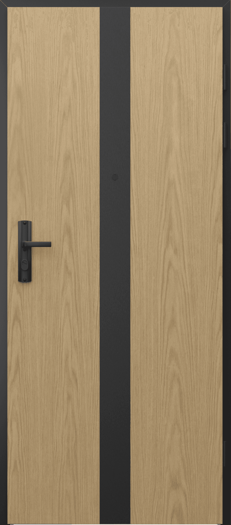 Porta SILENCE (синтетичен фурнир) SILENCE, панел 3