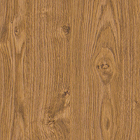 Дъб Уинчестър