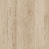 Бук пясъчен