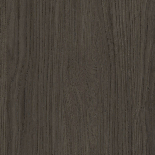 Дъб Касела Мароне