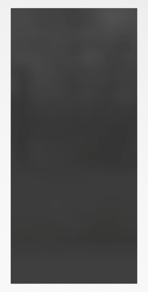 Входна врата модел C.4